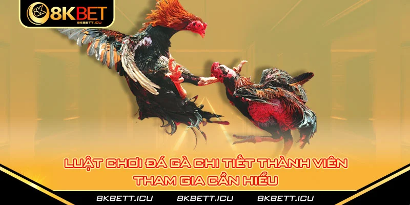 Luật chơi đá gà chi tiết thành viên tham gia cần hiểu 